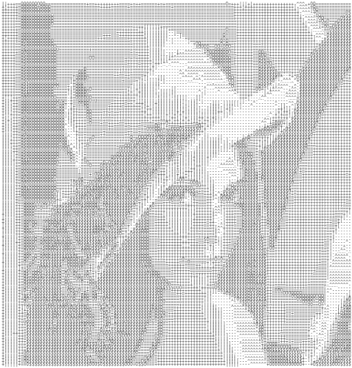 Woman ascii