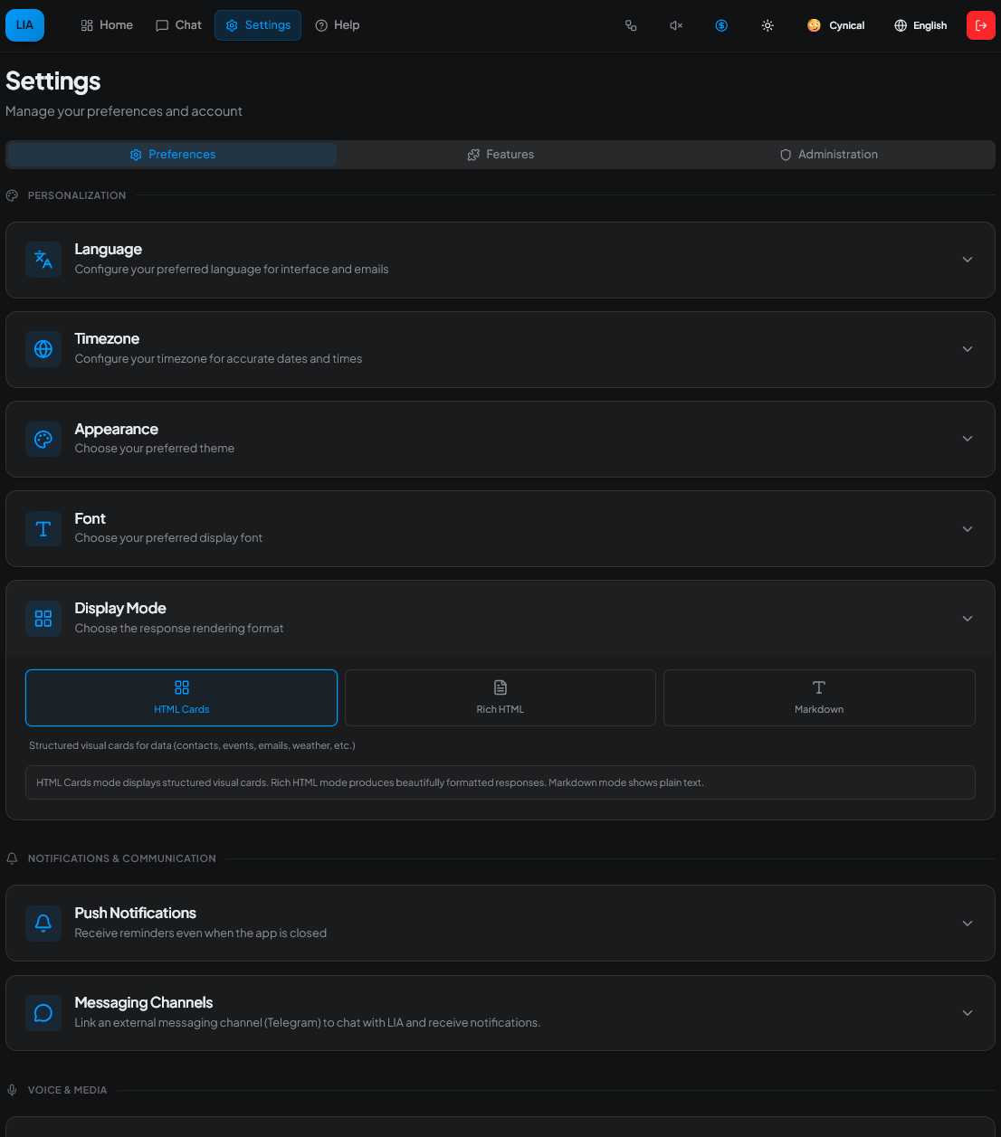 Settings — Preferences (connectors, MCP, themes)