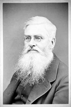 Portrait of Alfred Russel Wallace