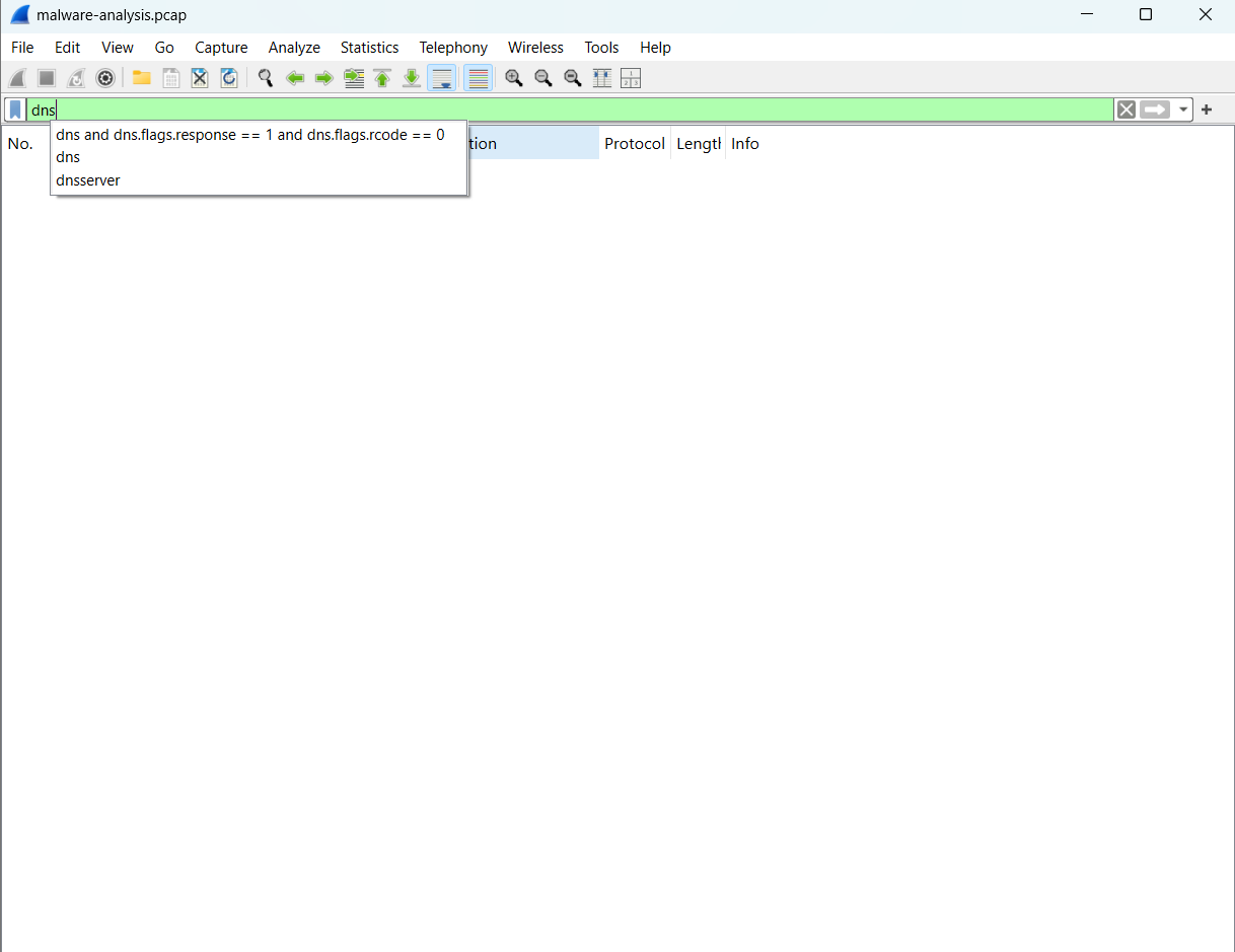 DNS 分析