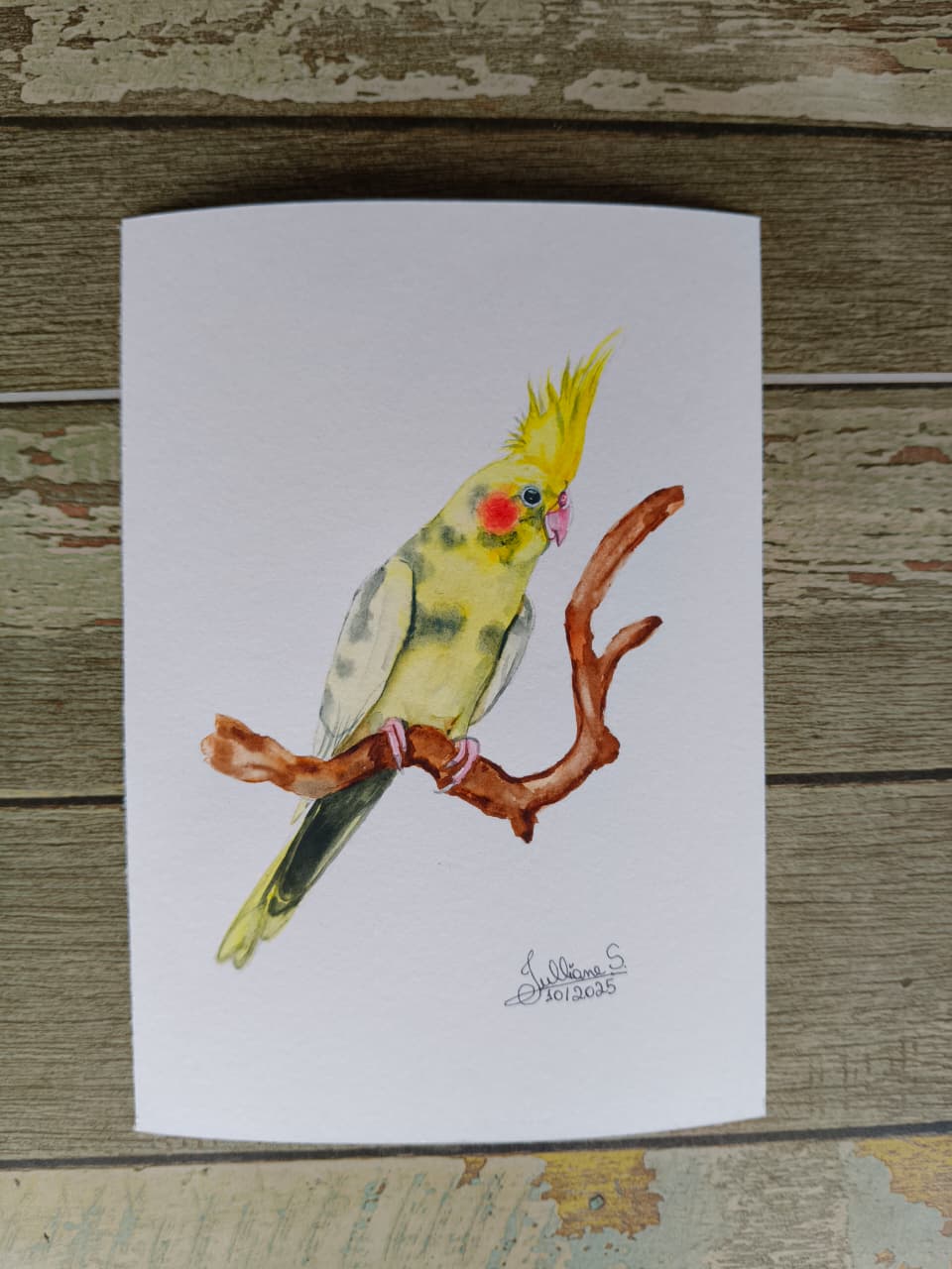 Obra em aquarela
