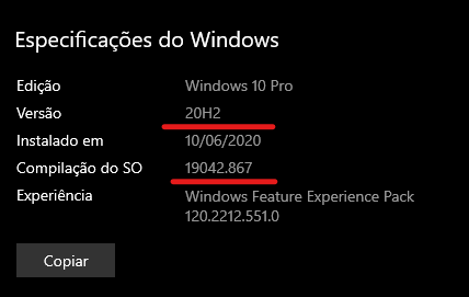 Windows 10 20.04