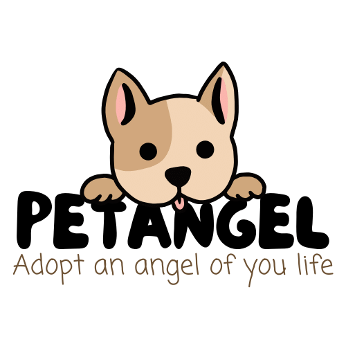 PET aNGEL