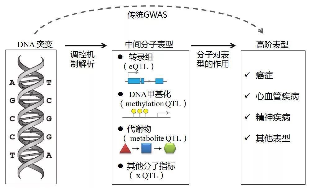 GWAS