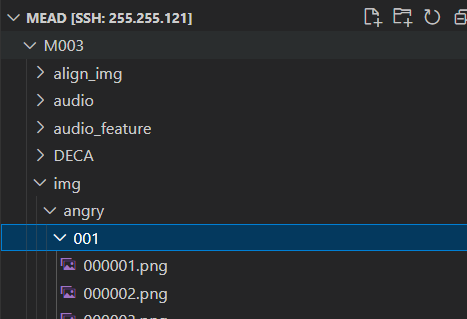 Processed Dataset Format