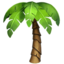 palm_tree