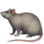 rat