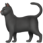 black_cat