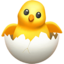 hatching_chick