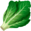 leafy_green