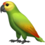 parrot