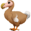 dodo