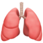 lungs