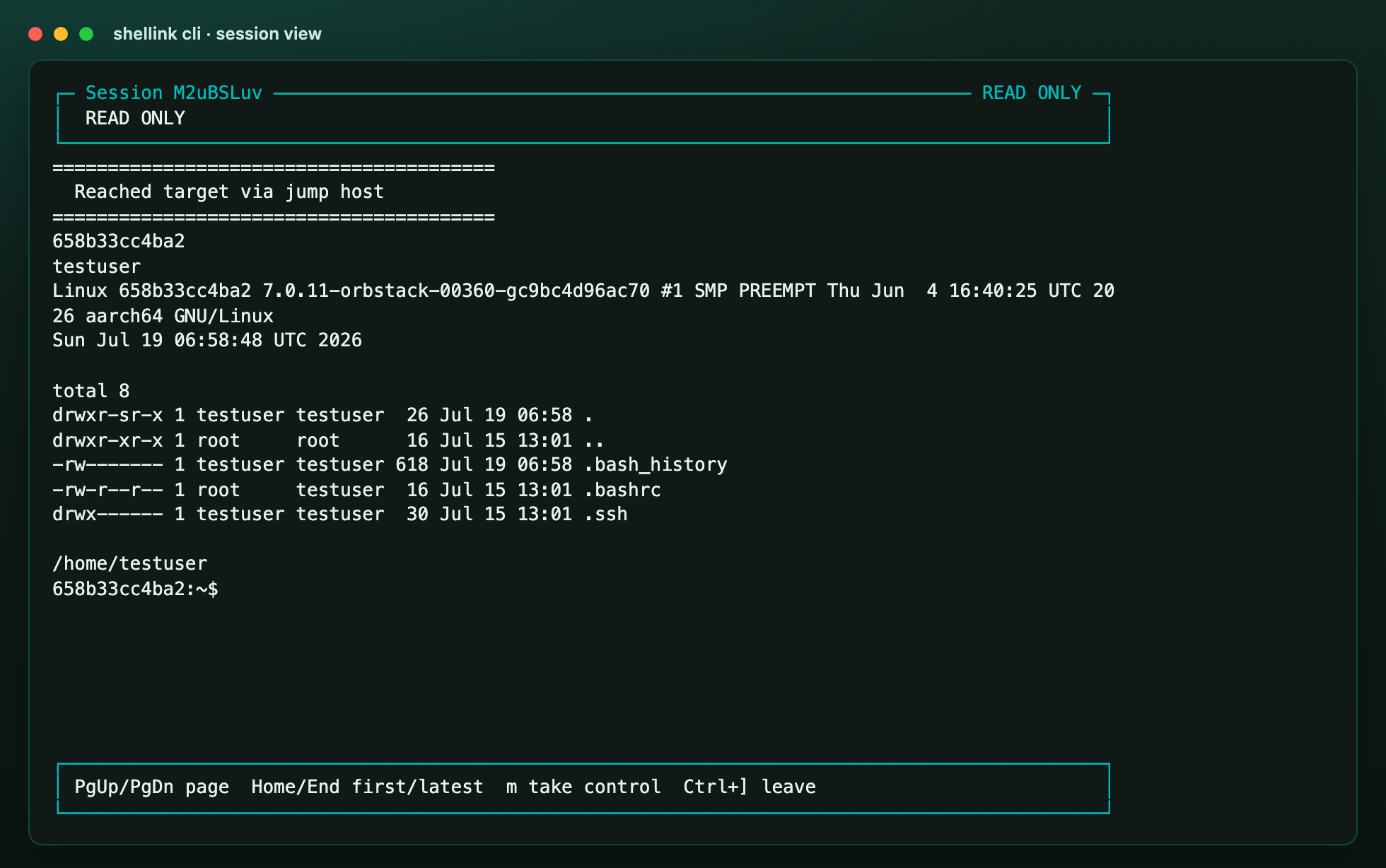 CLI/TUI session view