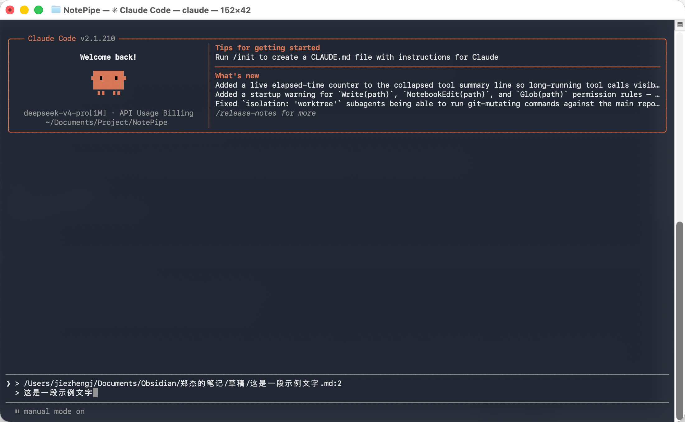 Pasted output in terminal