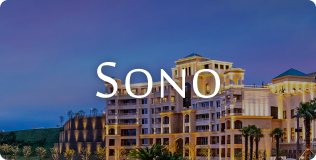 대명소노그룹사