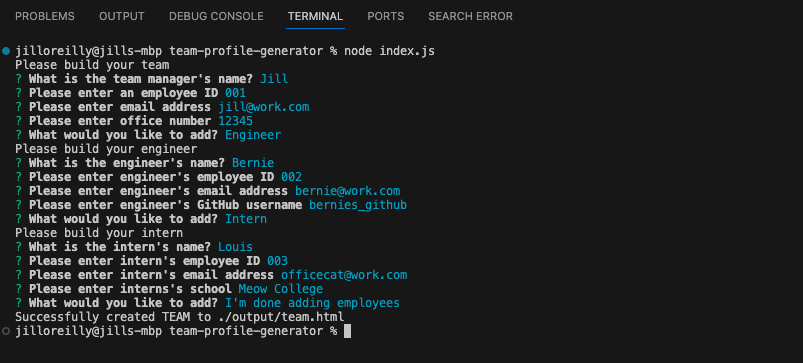 Team Profile Generator questions in terminal