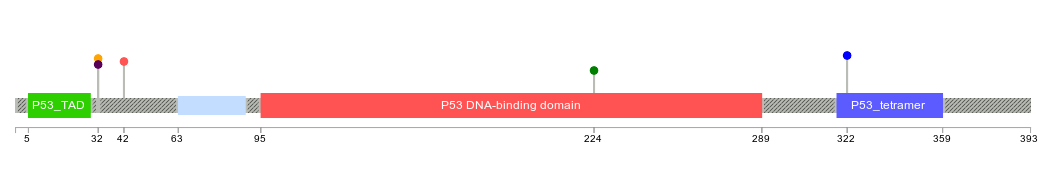 TP53 Lollipop diagram with 3 marked mutations