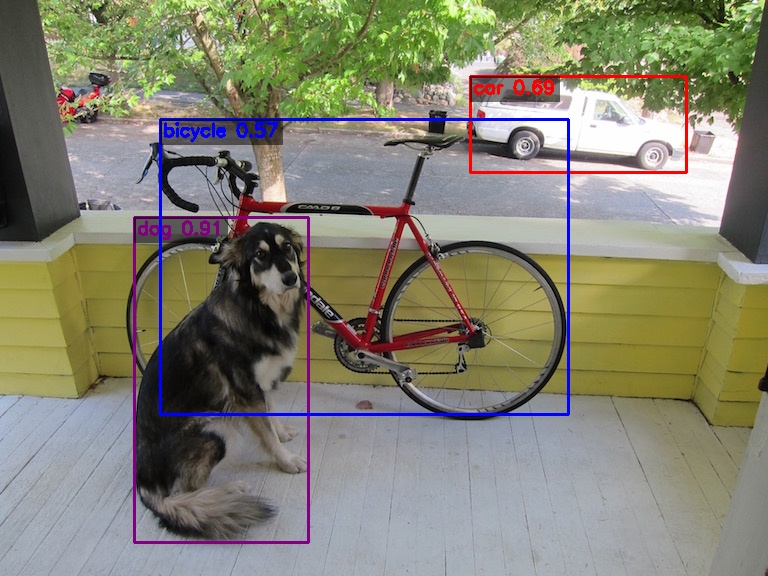 Dog Detection