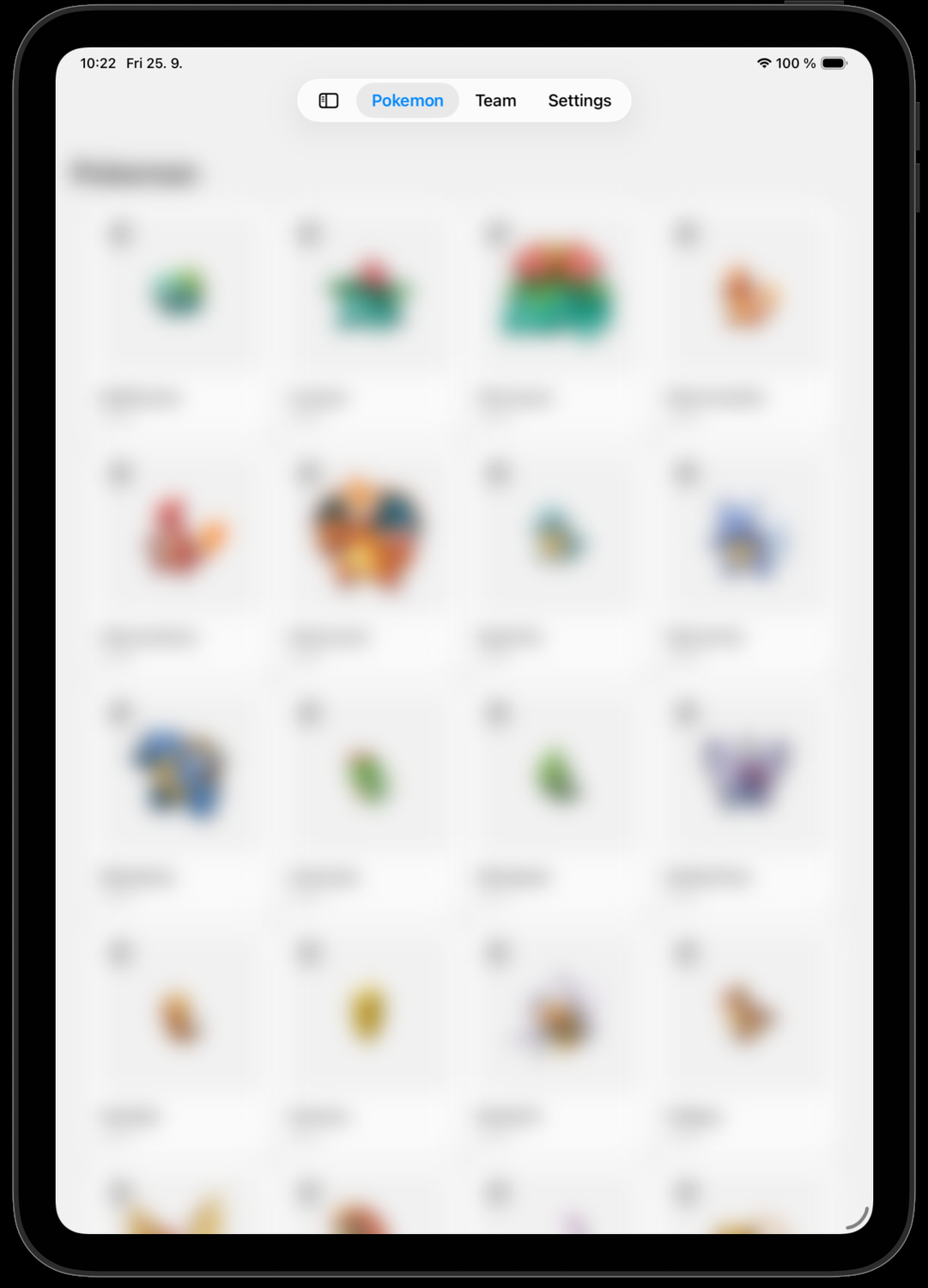 iPad
