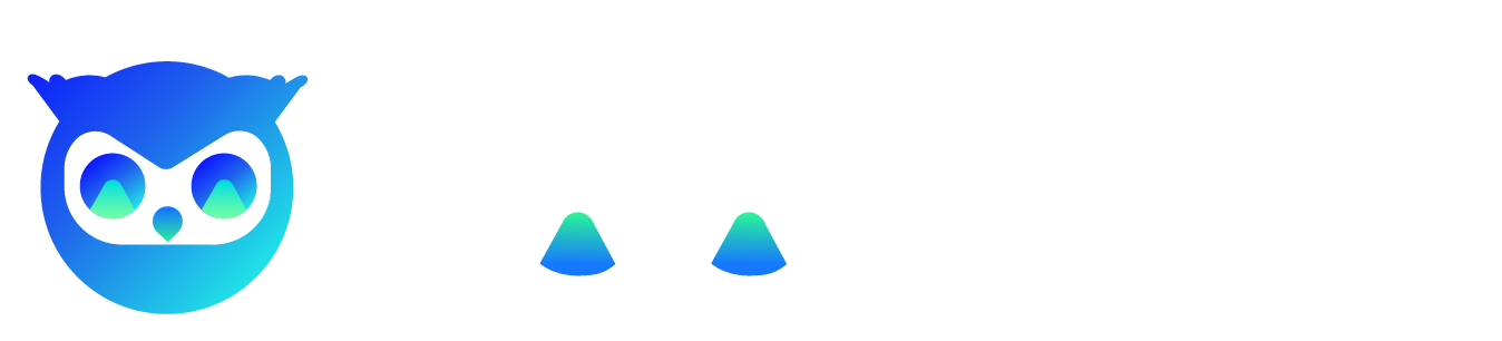 HoloInsight