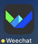 Screenshot displaying an App Icon with a beta dot label