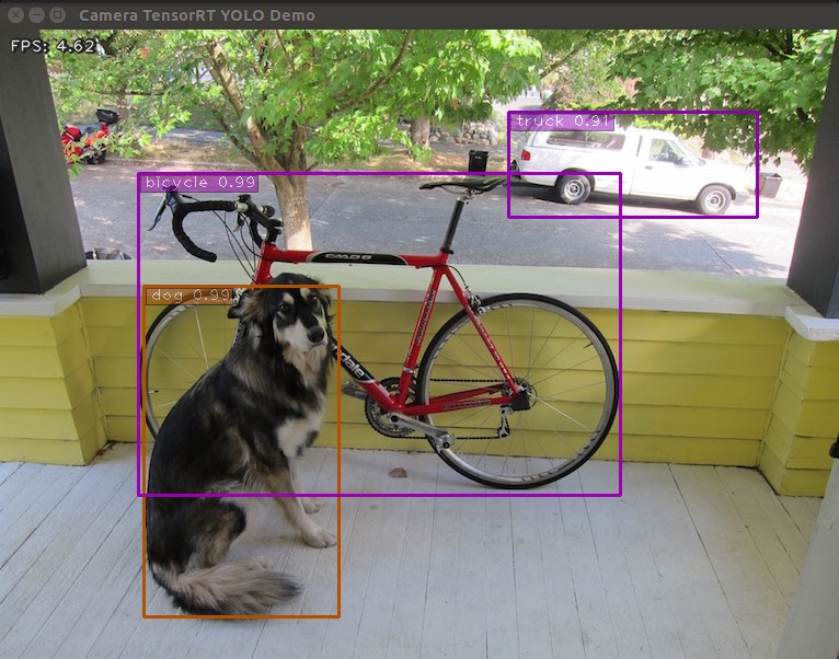 "yolov4-416" detection result on dog.jpg