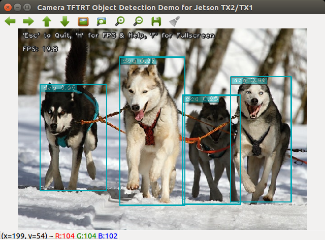 MobileNet V1 SSD detection result on huskies.jpg