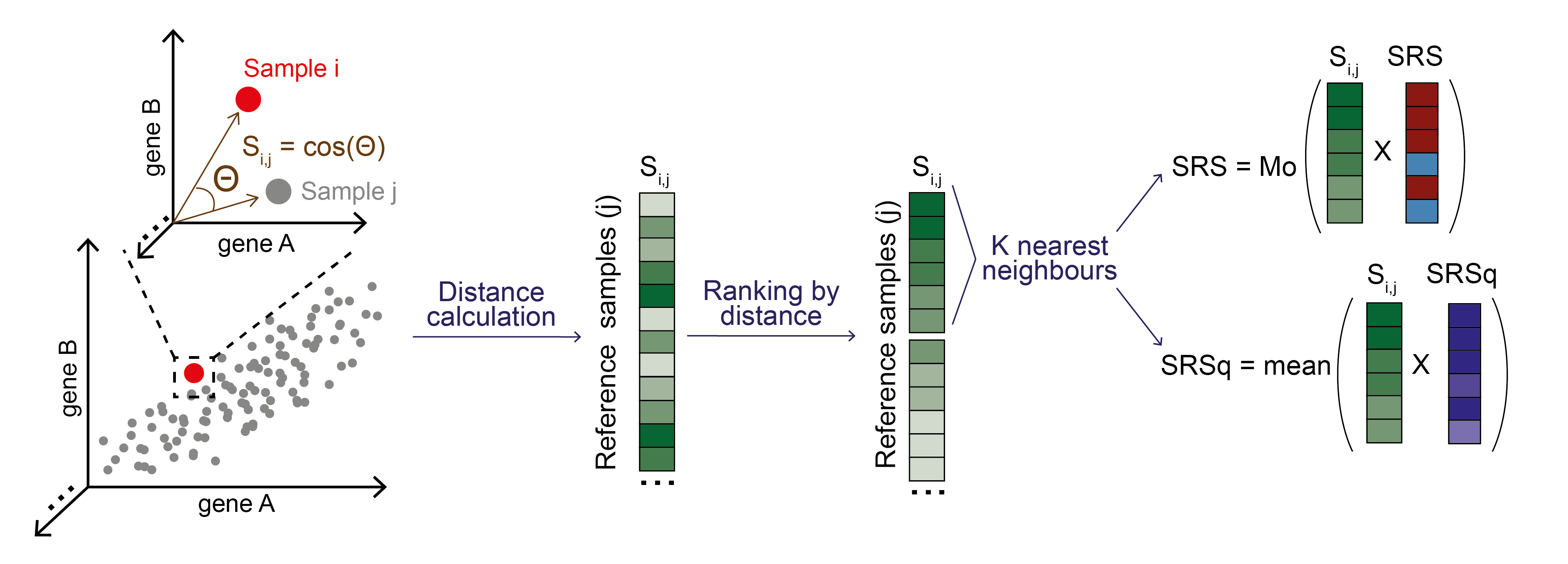 Schematic diagram of the lazy learning approach for predicting SRS/SRSq in individual samples