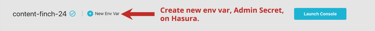 Config Var Hasura