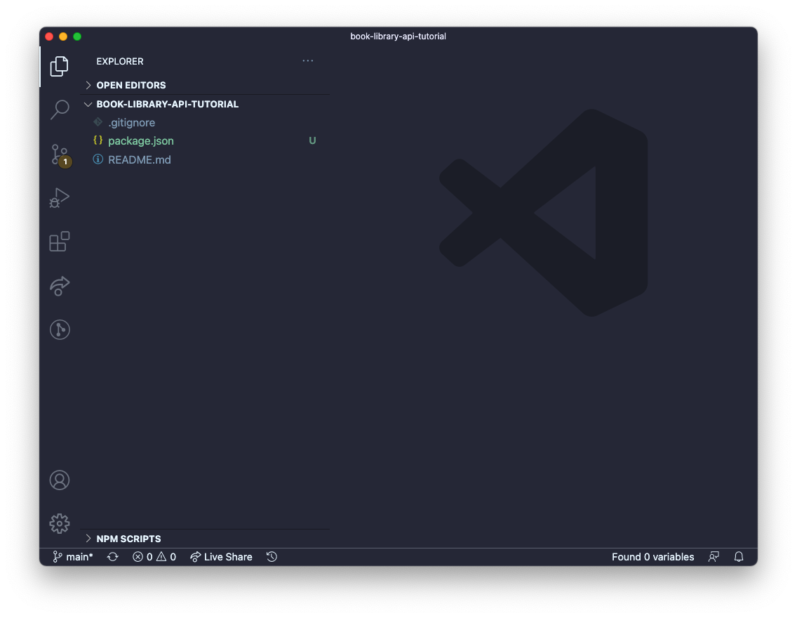 Screenshot of VS code after initial setup