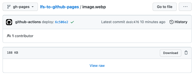 The image.webp stored in branch main is NOT stored through LFS.