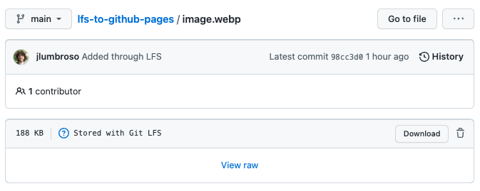 The image.webp stored in branch main IS stored through LFS.