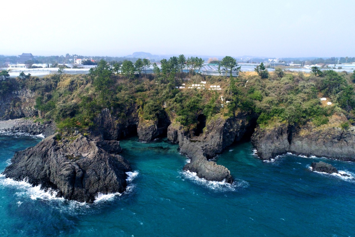 Jeju sailing yacht and coastline