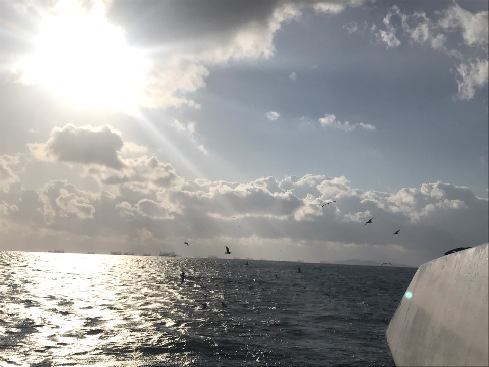 Grande Bleu Jeju sunset sailing