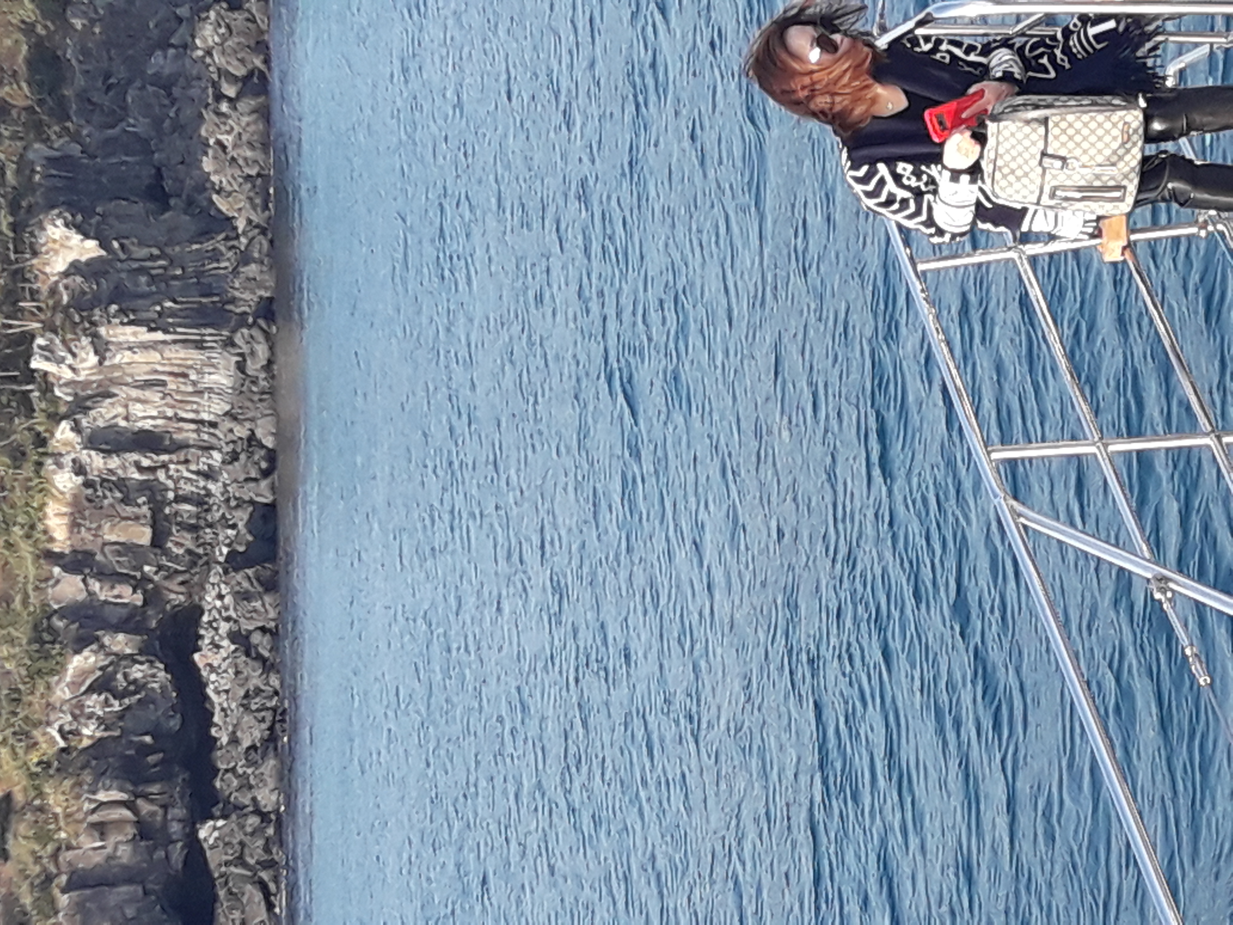 Jeju sailing yacht and coastline