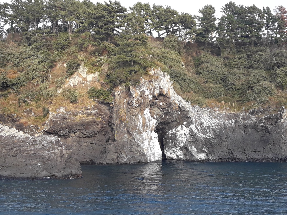 Jeju sailing yacht and coastline