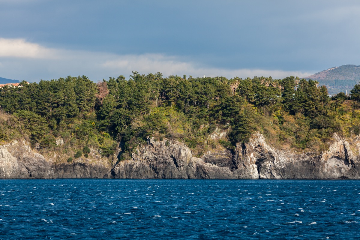 Jeju sailing yacht and coastline