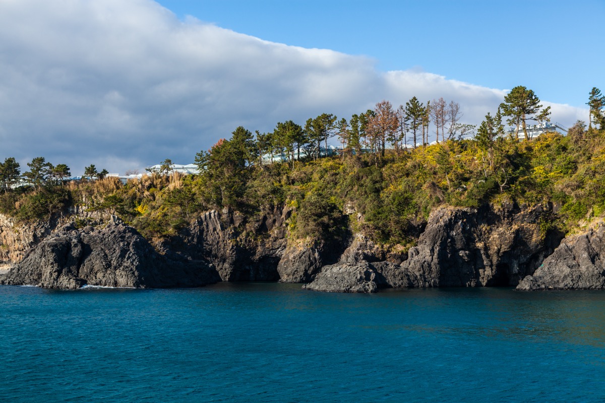 Jeju sailing yacht and coastline