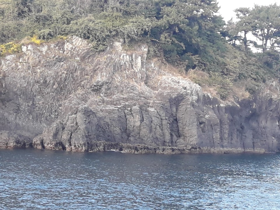 Jeju sailing yacht and coastline