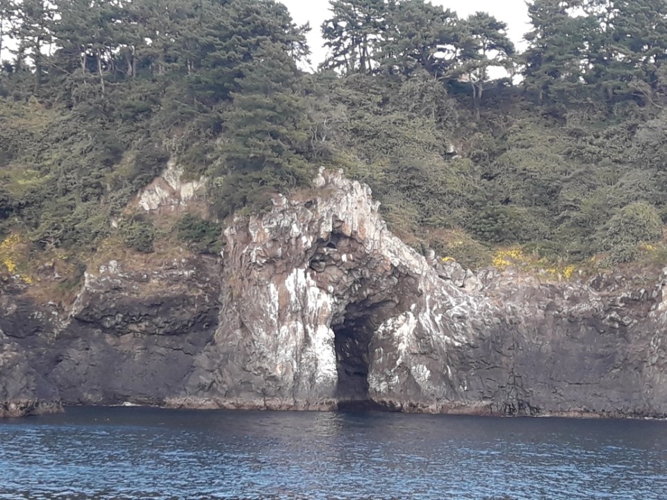 Jeju sailing yacht and coastline