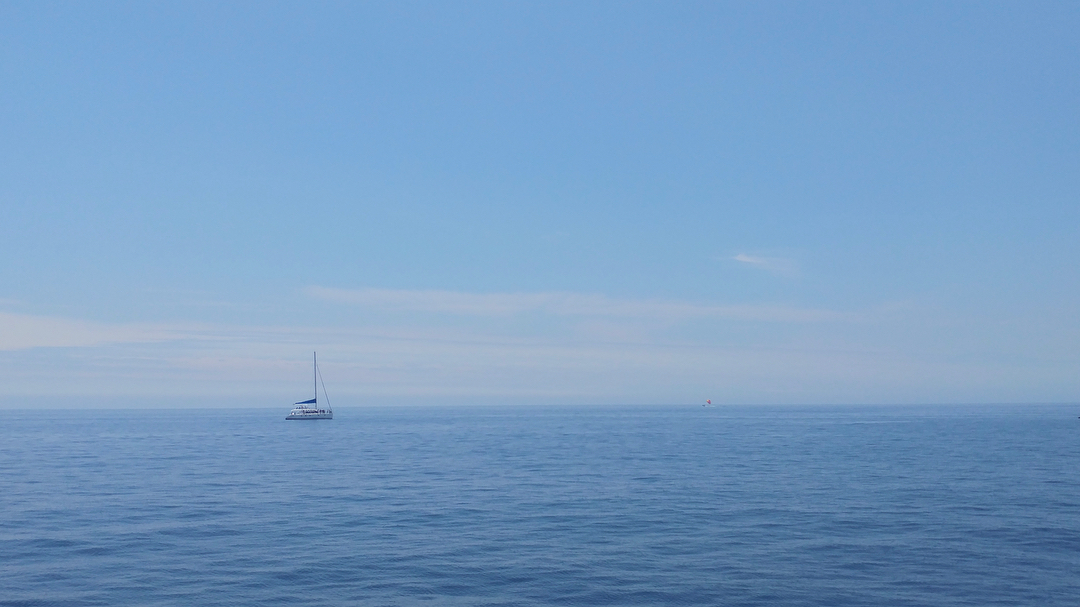 Jeju sailing yacht and coastline