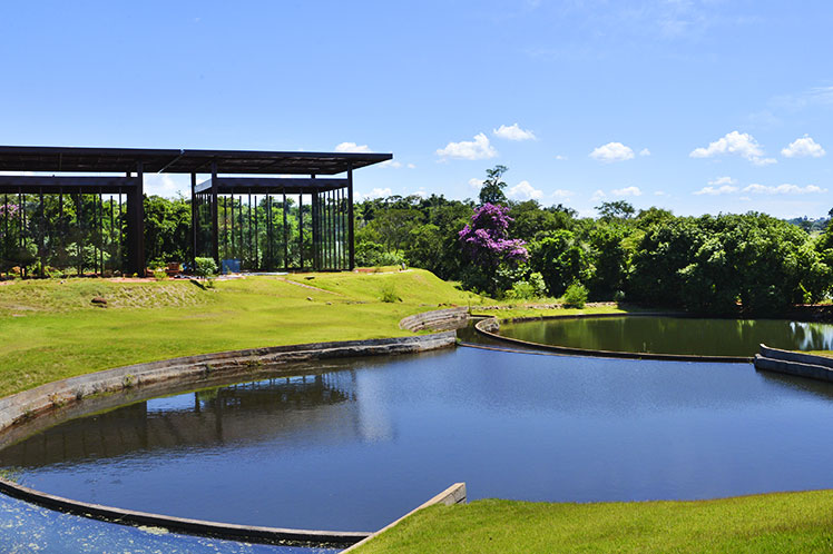 Jardim Botanico Londrina - Print Loja entrega em Londrina