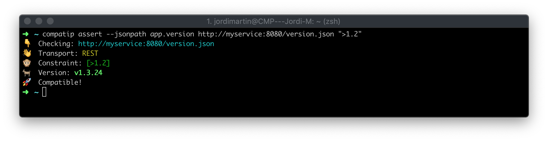 CMD assert version