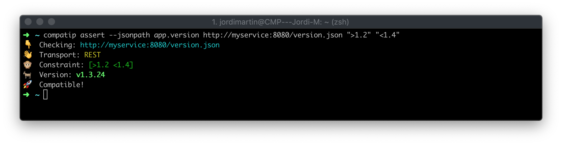 CMD assert version