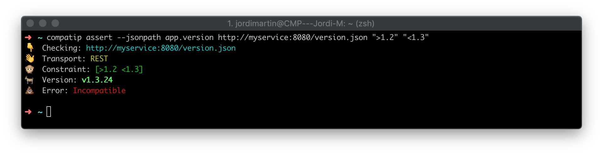 CMD assert version