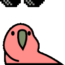 An animated GIF of a parrot, probably multi-colored