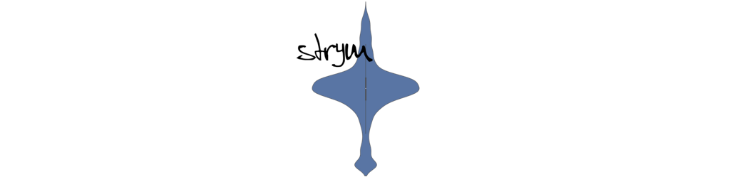 Strym Logo