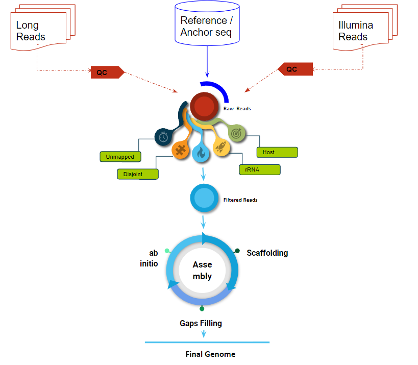 Setu flowchart