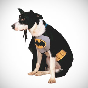 bat dog costume